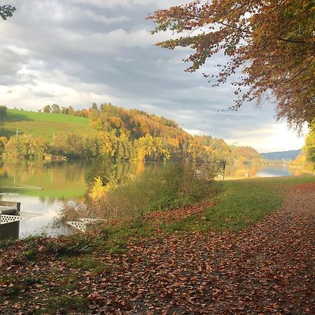 Charming Studio Near Rotsee Lucerne Kitchen/Wifi/Wasching Machine Exteriör bild