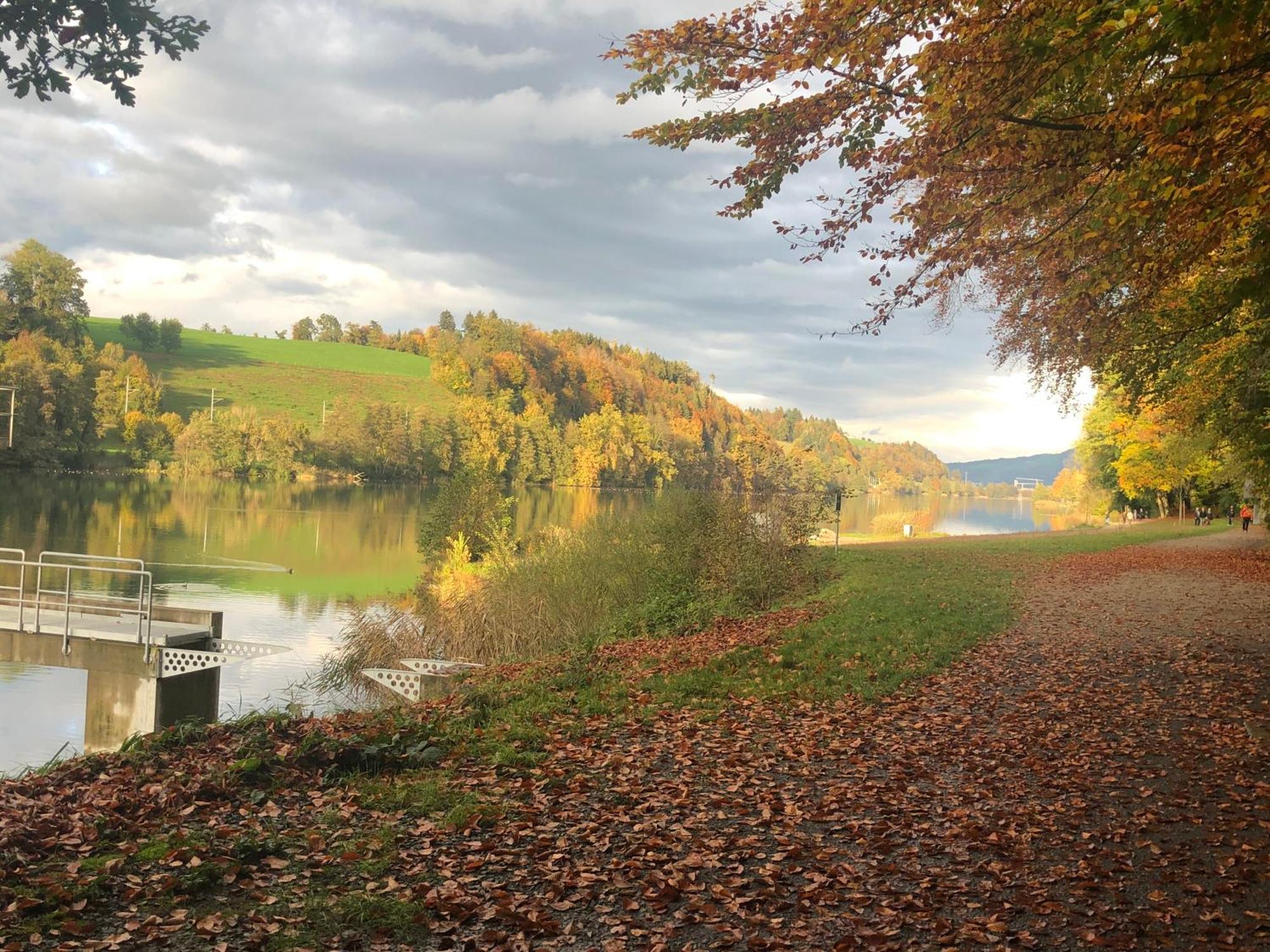 Charming Studio Near Rotsee Lucerne Kitchen/Wifi/Wasching Machine Exteriör bild