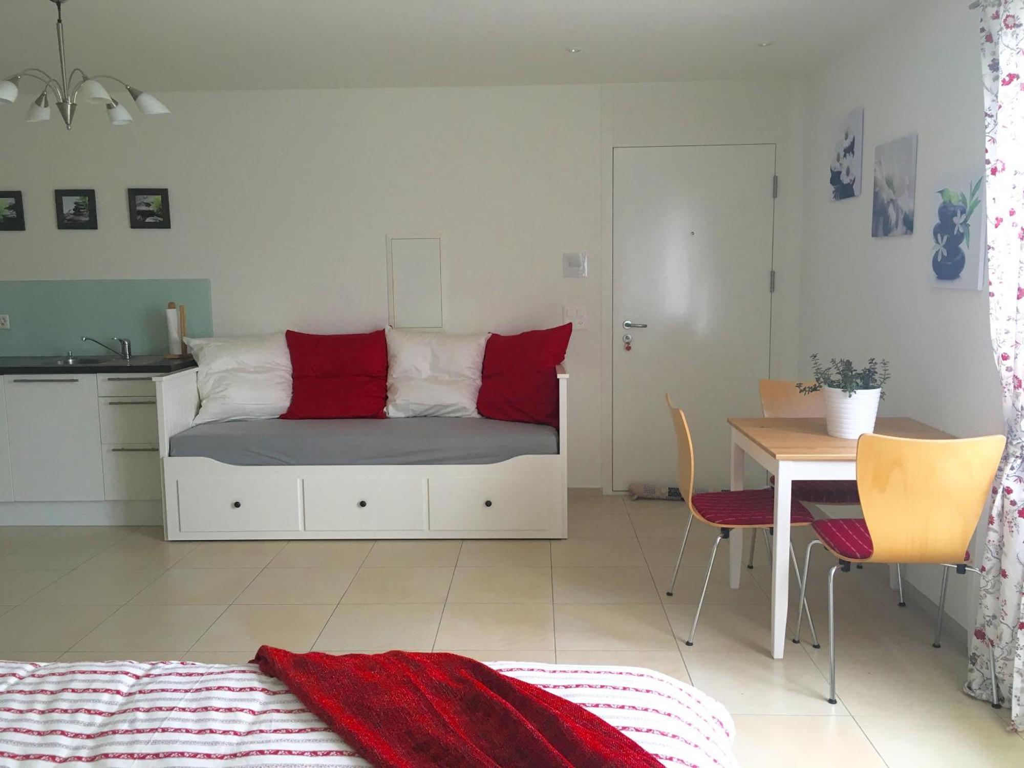 Charming Studio Near Rotsee Lucerne Kitchen/Wifi/Wasching Machine Exteriör bild