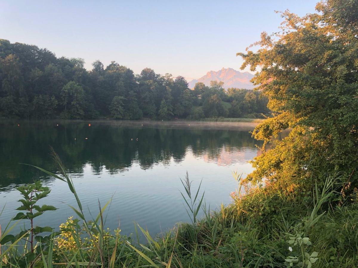 Charming Studio Near Rotsee Lucerne Kitchen/Wifi/Wasching Machine Exteriör bild